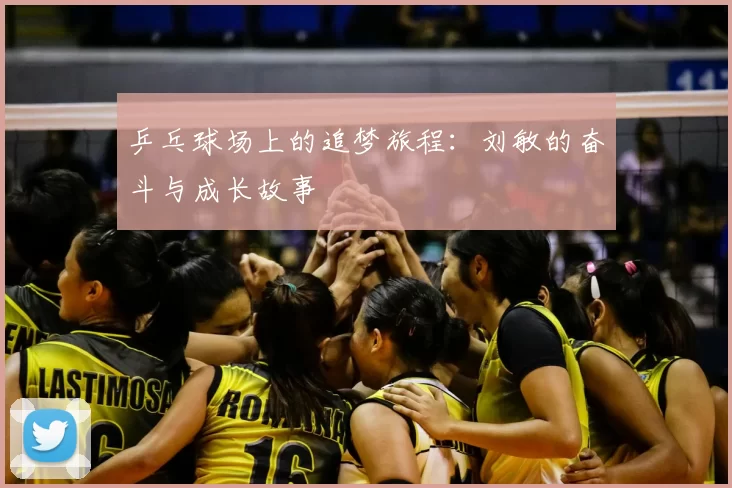 乒乓球场上的追梦旅程:刘敏的奋斗与成长故事