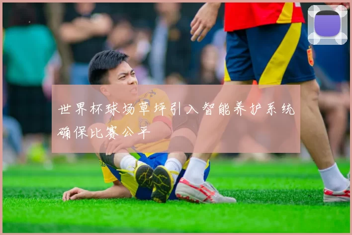 世界杯球场草坪引入智能养护系统确保比赛公平