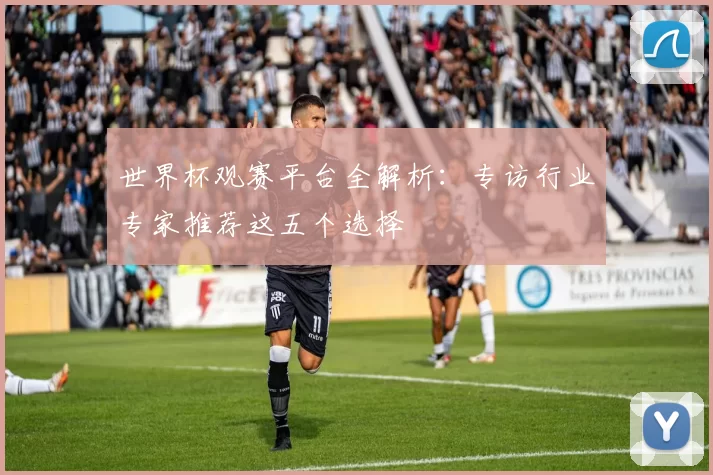 世界杯观赛平台全解析:专访行业专家推荐这五个选择