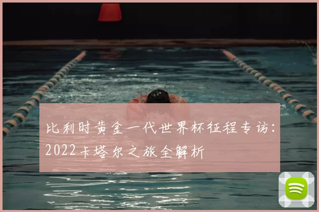 比利时黄金一代世界杯征程专访：2022卡塔尔之旅全解析