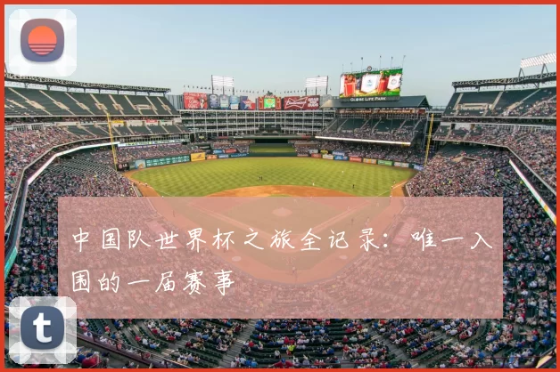 中国队世界杯之旅全记录:唯一入围的一届赛事