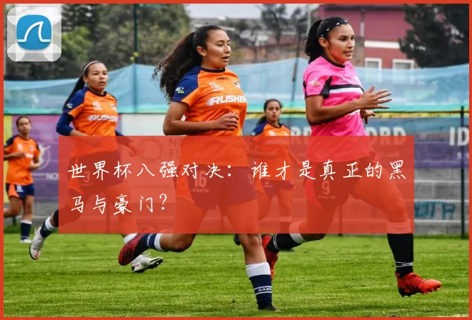 世界杯八强对决：谁才是真正的黑马与豪门？