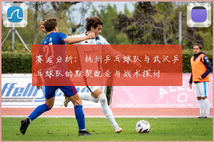 赛后分析：杭州乒乓球队与武汉乒乓球队的默契配合与战术探讨