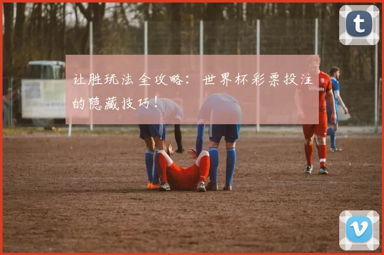 让胜玩法全攻略:世界杯彩票投注的隐藏技巧!