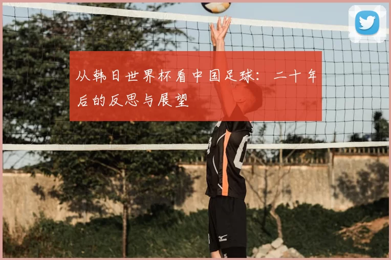 从韩日世界杯看中国足球：二十年后的反思与展望