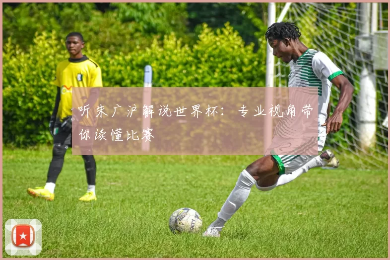 听朱广沪解说世界杯:专业视角带你读懂比赛