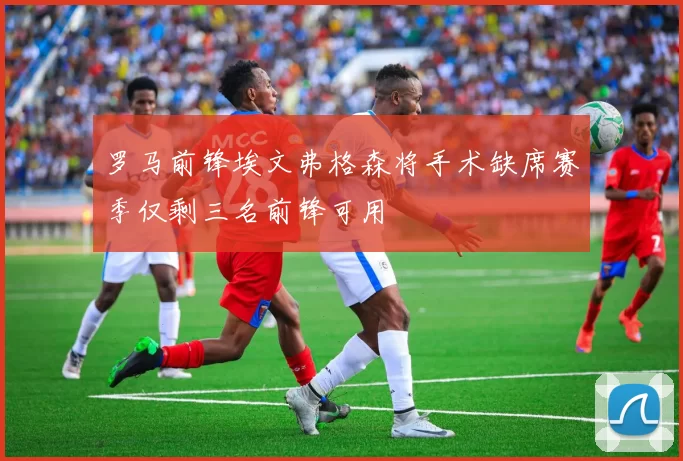 罗马前锋埃文弗格森将手术缺席赛季仅剩三名前锋可用