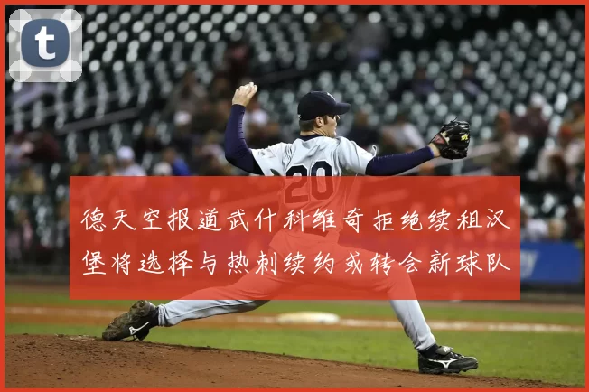 德天空报道武什科维奇拒绝续租汉堡将选择与热刺续约或转会新球队