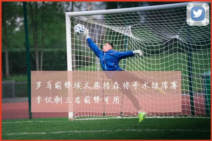 罗马前锋埃文弗格森将手术缺席赛季仅剩三名前锋可用