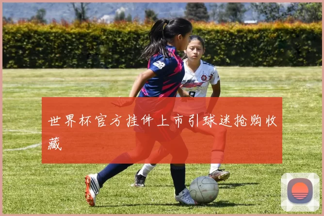 世界杯官方挂件上市引球迷抢购收藏