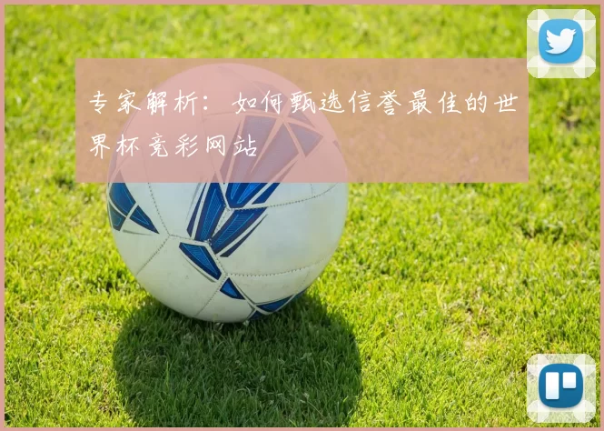 专家解析:如何甄选信誉最佳的世界杯竞彩网站